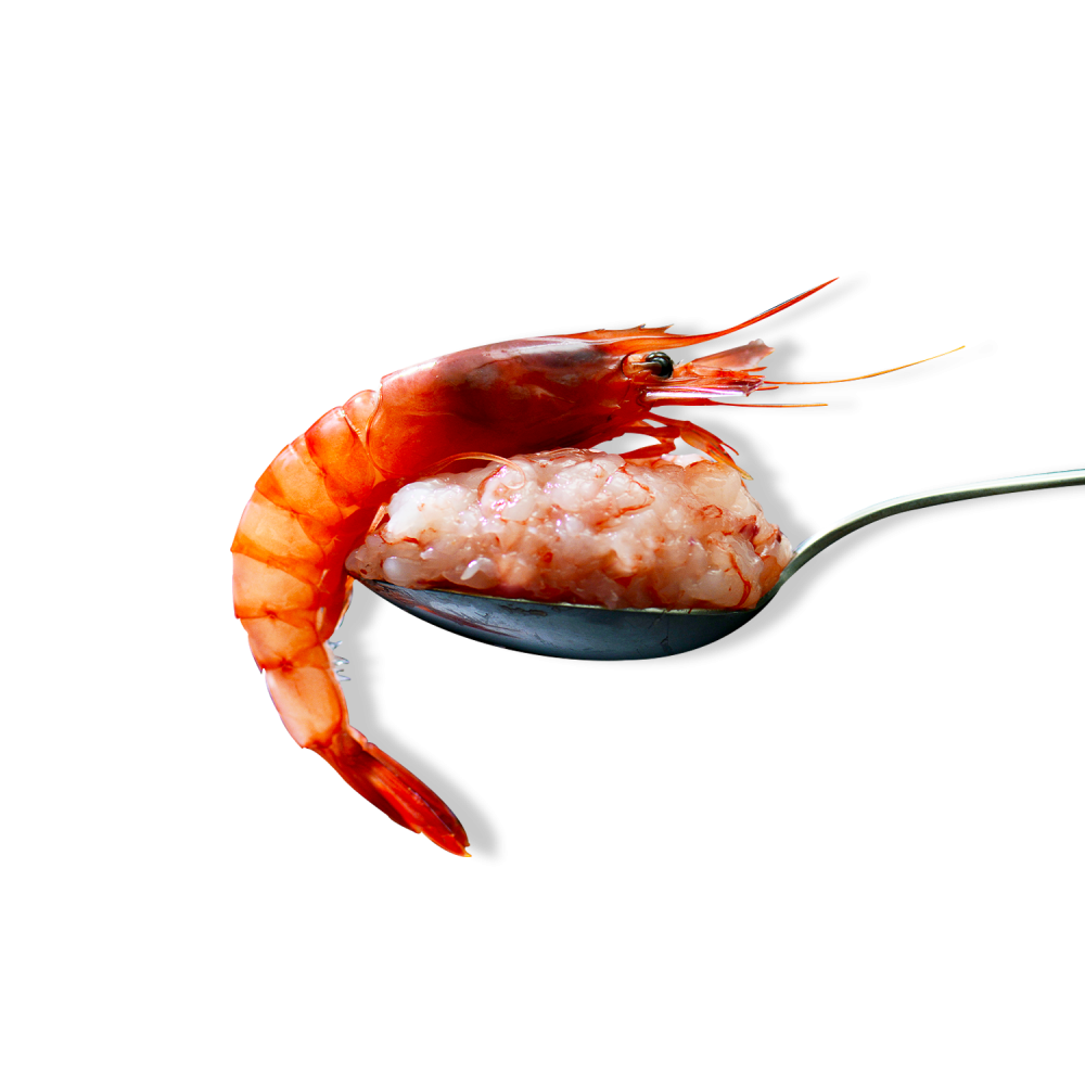 Mediterranean purple prawn tartare - 480 g Mediterranean purple prawn tartare - 480 g