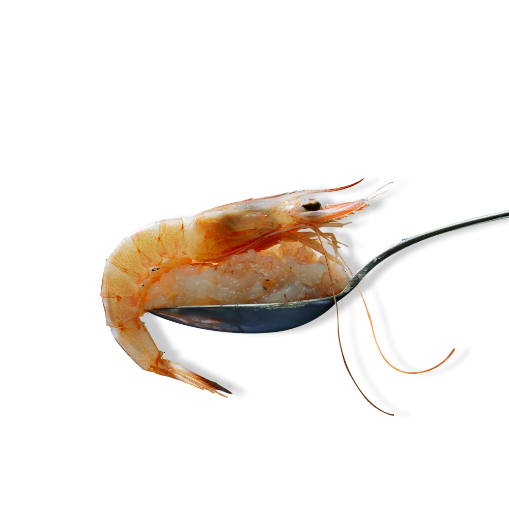 Mediterranean pink prawn tartare - 480 g Mediterranean pink prawn tartare - 480 g