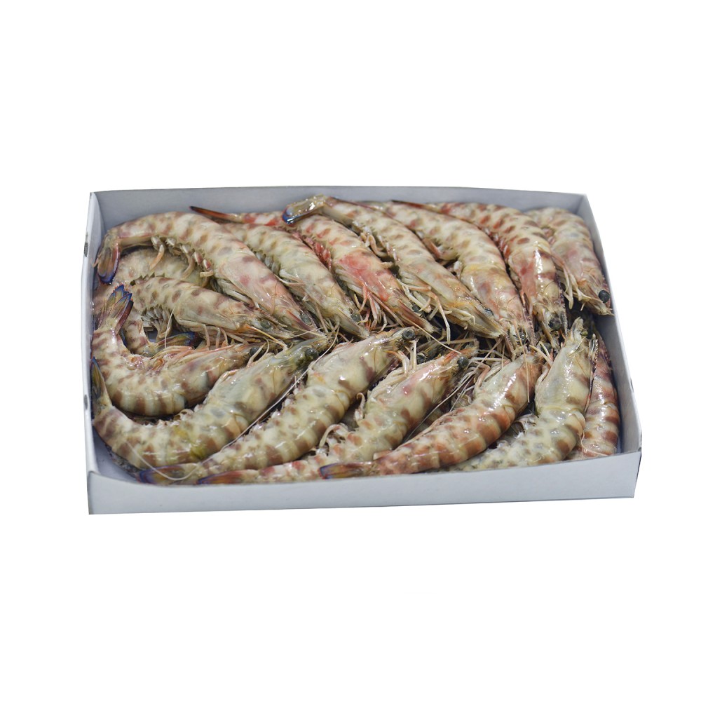 Caramote prawn II 1Kg Caramote prawn II 1Kg