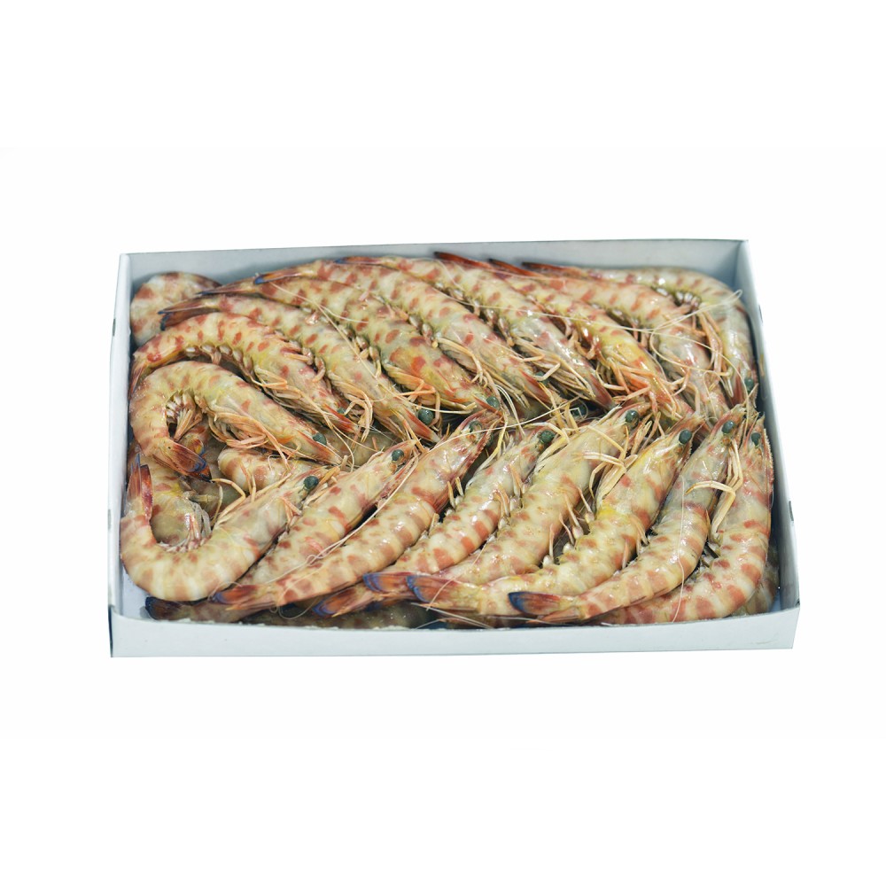 Mazzancolla III 1Kg Mazzancolla III 1Kg