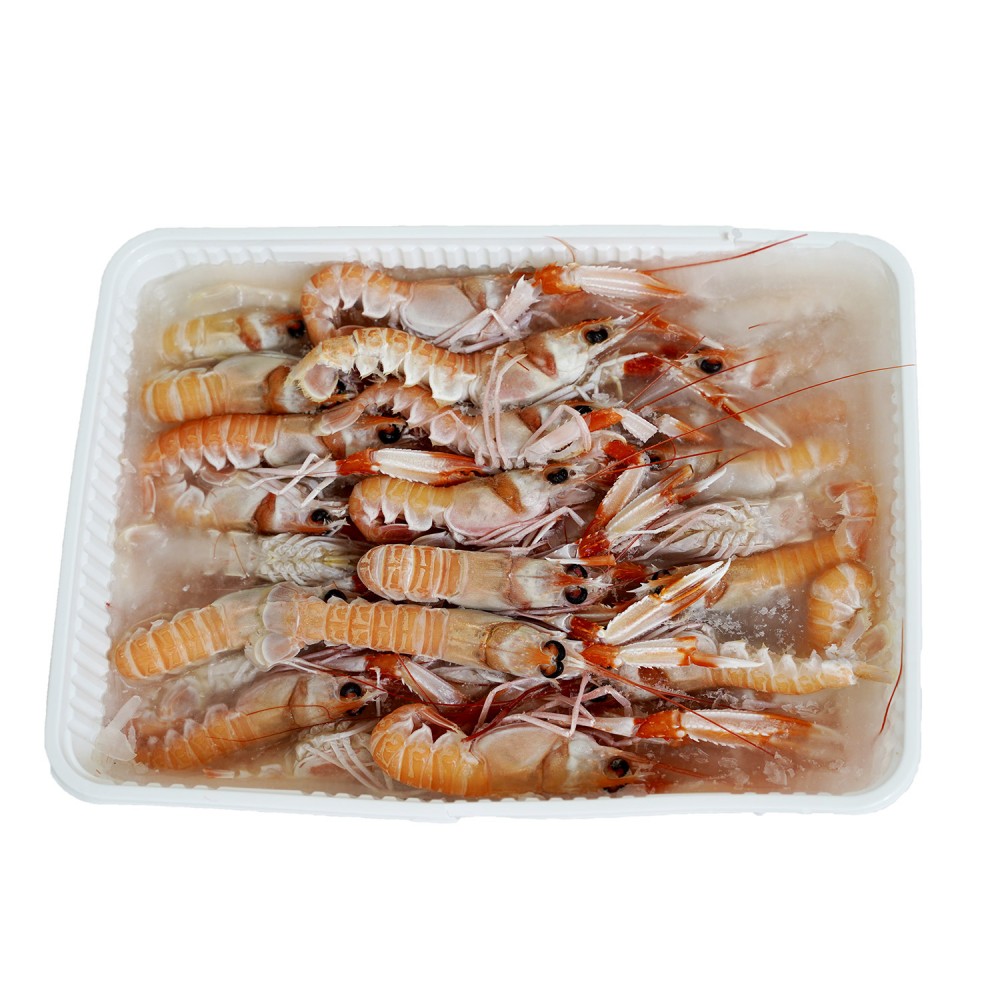 Scampo III 1Kg Scampo III 1Kg